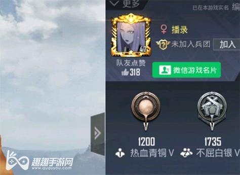 和平精英《紫火》外挂独家稳定大号