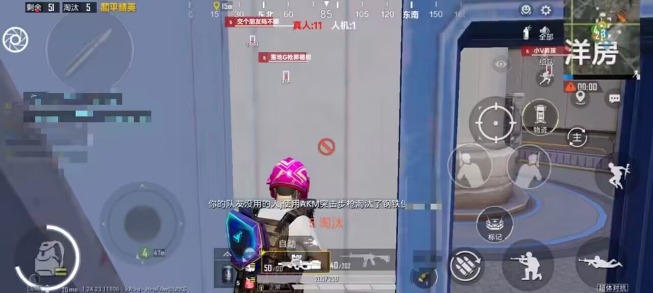和平精英《诛仙》辅助