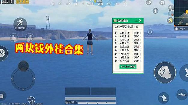 和平精英DDYS辅助